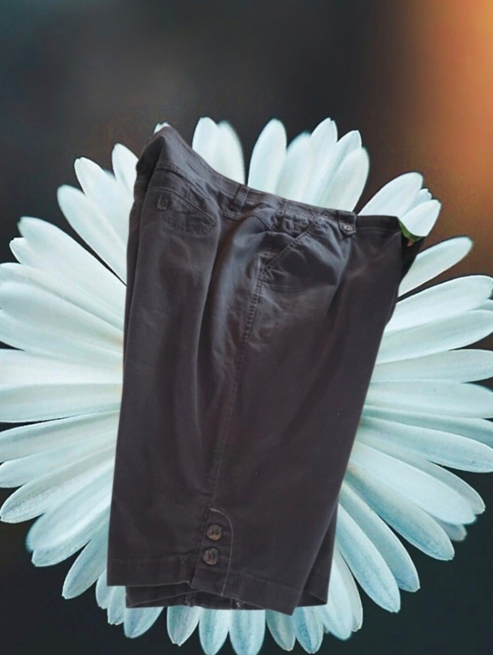 Gloria Vanderbilt Black Capri Pants size 18W